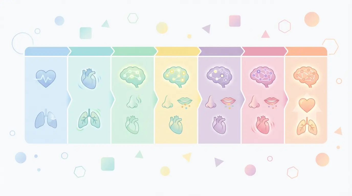 Seven-day nicotine withdrawal timeline infographic showing lung recovery, heart health changes, and neural rewiring milestones after quitting smoking