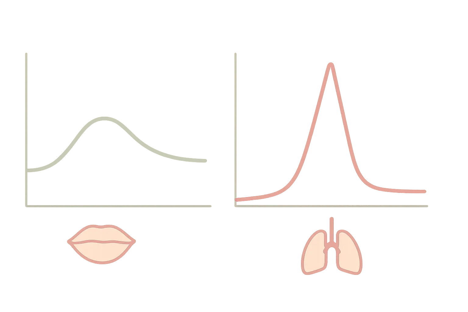 Illustration comparing the slower oral nicotine delivery curve of pouches with the faster inhaled curve of vaping