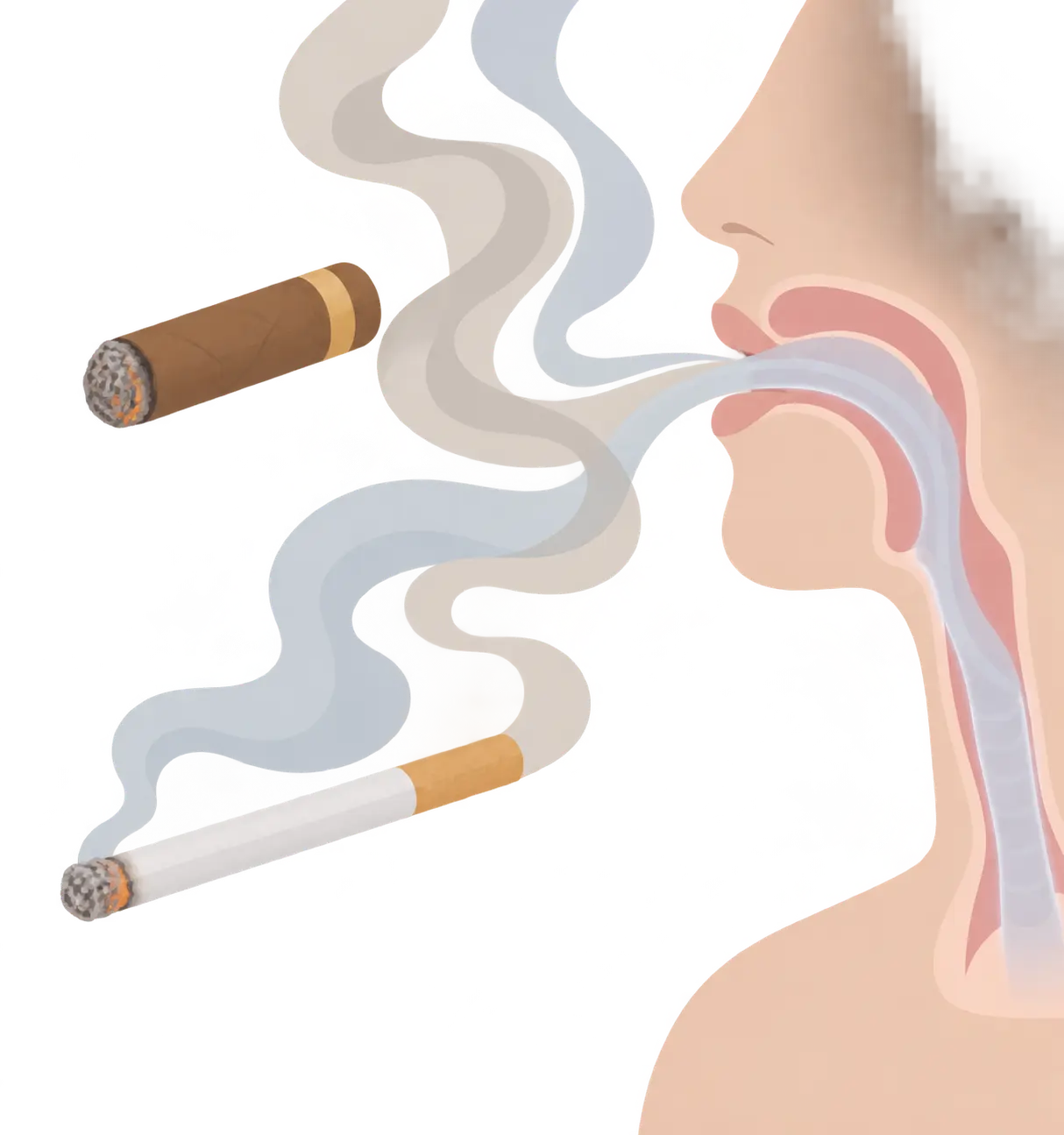 Illustration of two overlapping smoke trails around a cigarillo and a cigarette representing exposure without deep inhalation